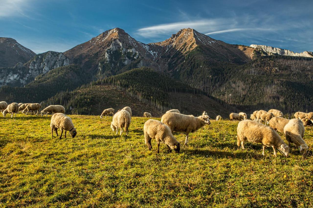 Ubytovanie U Matka A Kubka Ждяр Экстерьер фото